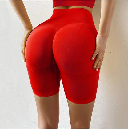 Women's Slim Fit High Waist Soft Nylon Yoga Sport Shorts