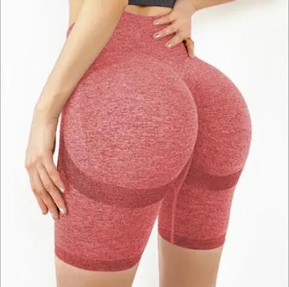 Women's Slim Fit High Waist Soft Nylon Yoga Sport Shorts