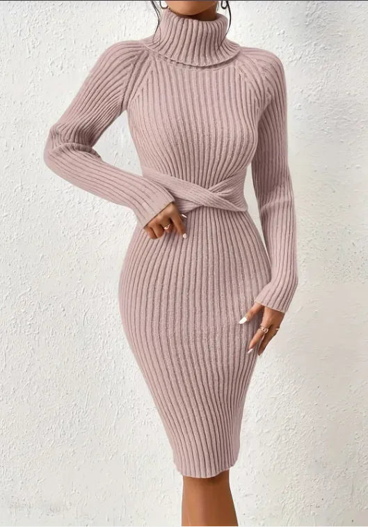 CozyFit High Collar Slim Knit Dress