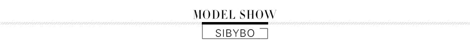 Sibybo Mesh Patchwork Sheer Maxi Dress For Women Sexy Ruched Long Sleeve Bodycon Party Club Evening Dresses Elegant Vestido Robe